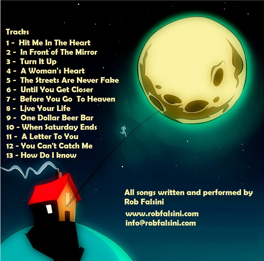 rob falsini music until you get closer tour back cover